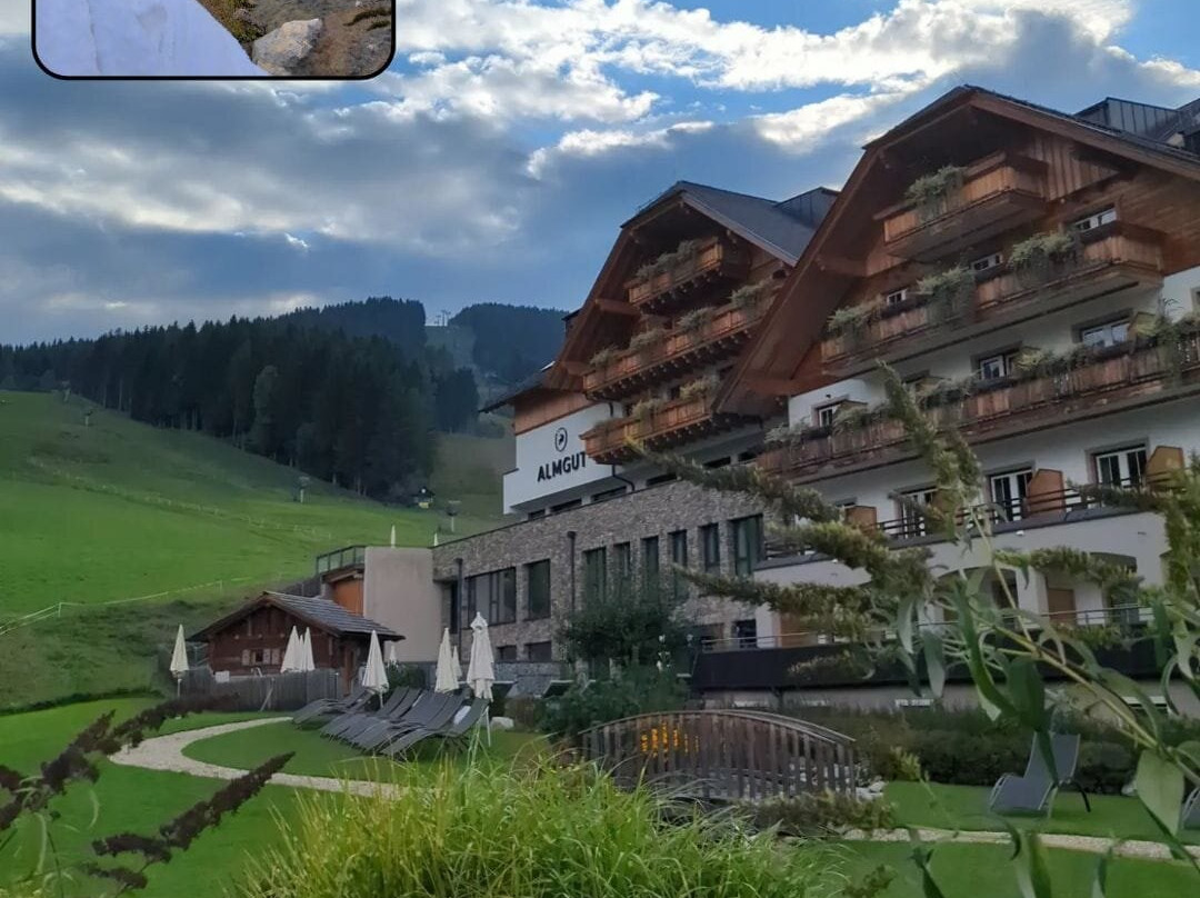 ALMGUT - Mountain Wellness Hotel主图