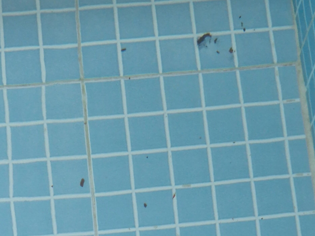 Dundar Termal Villa Otel主图