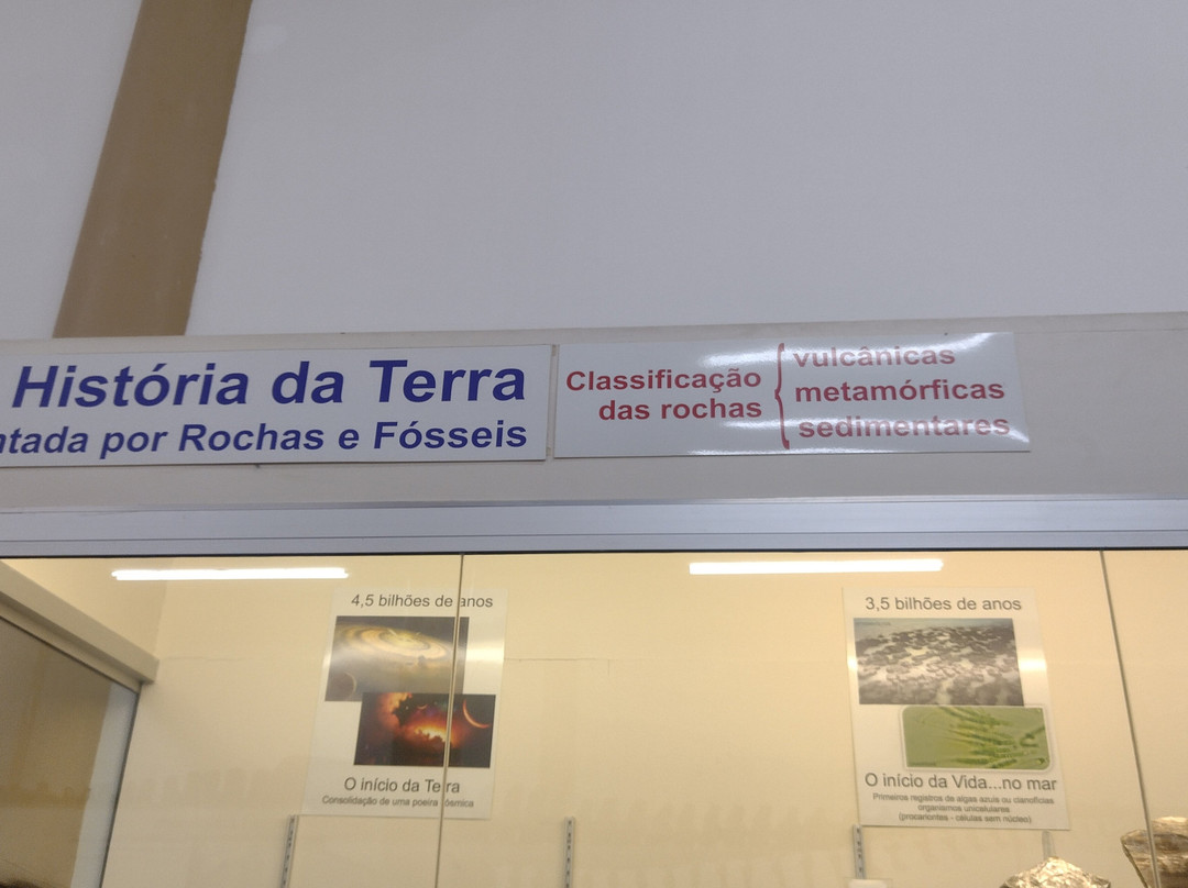 Museu De História Natural de Taubaté景点图片