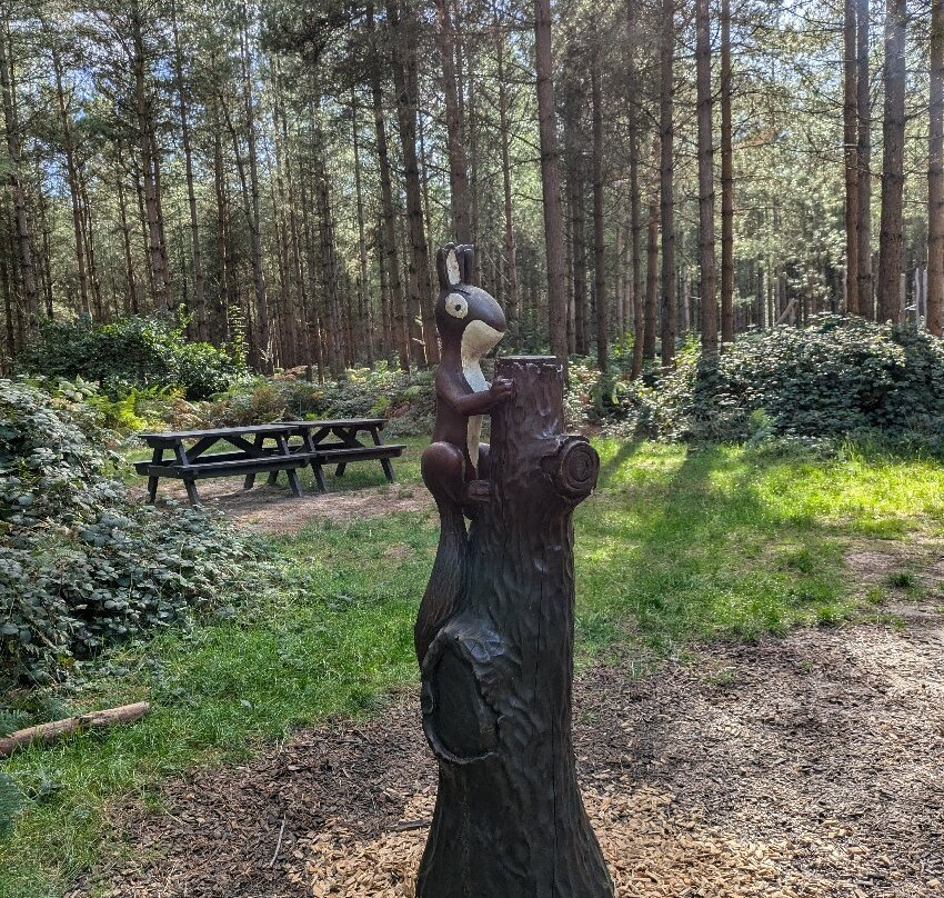 High Lodge Thetford Forest景点图片