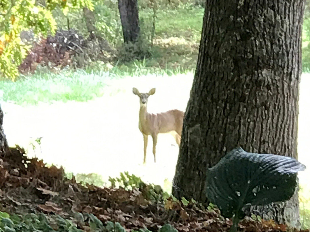 Howard House Lodge主图