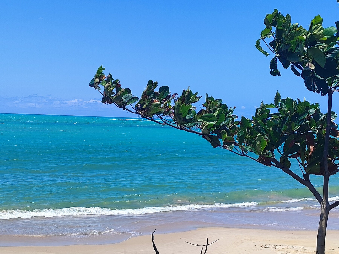 WS Tur Receptivo-Maceio必去景点