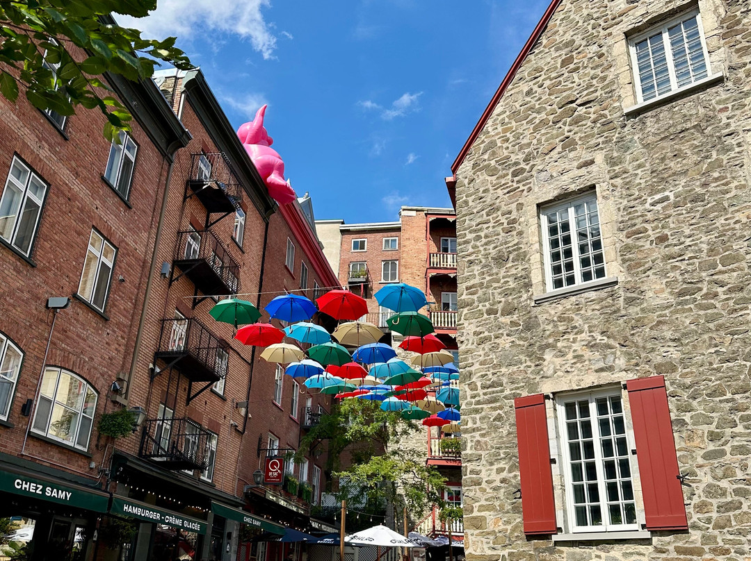 Umbrella Alley-魁北克市必去景点