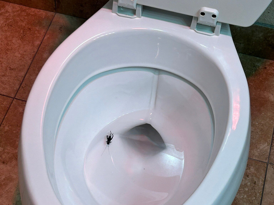 Quality Inn Cedar Park主图