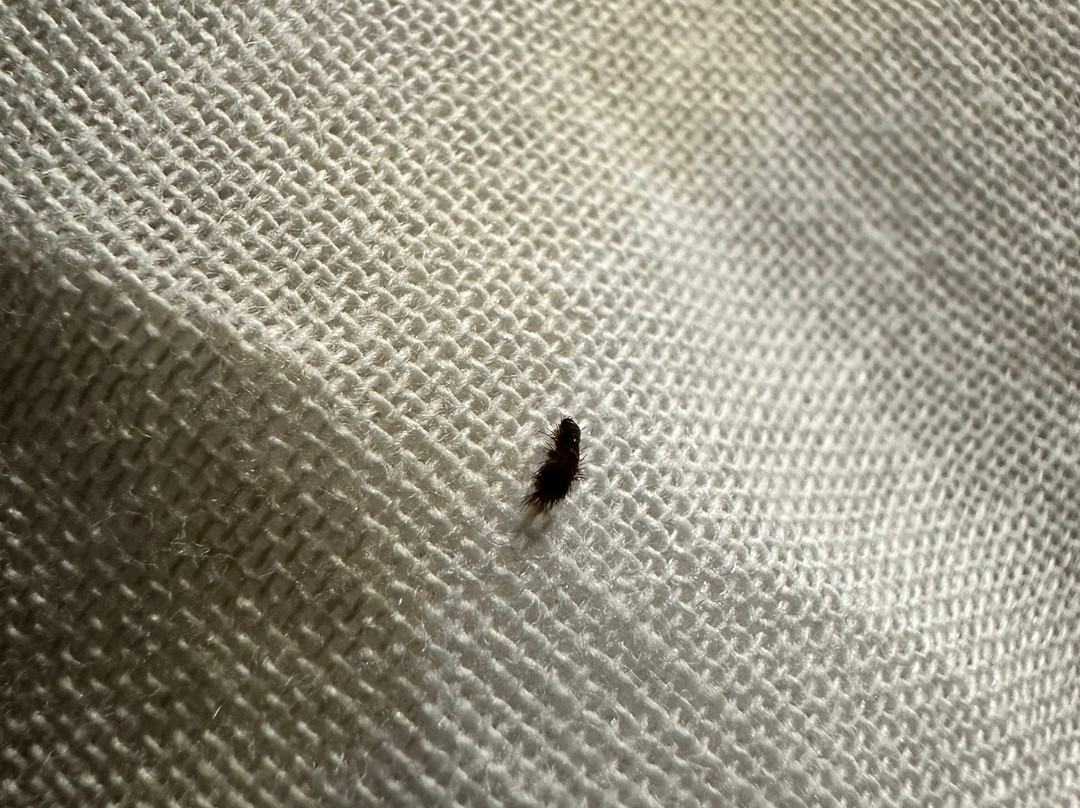 Hampton Inn & Suites Xenia Dayton主图