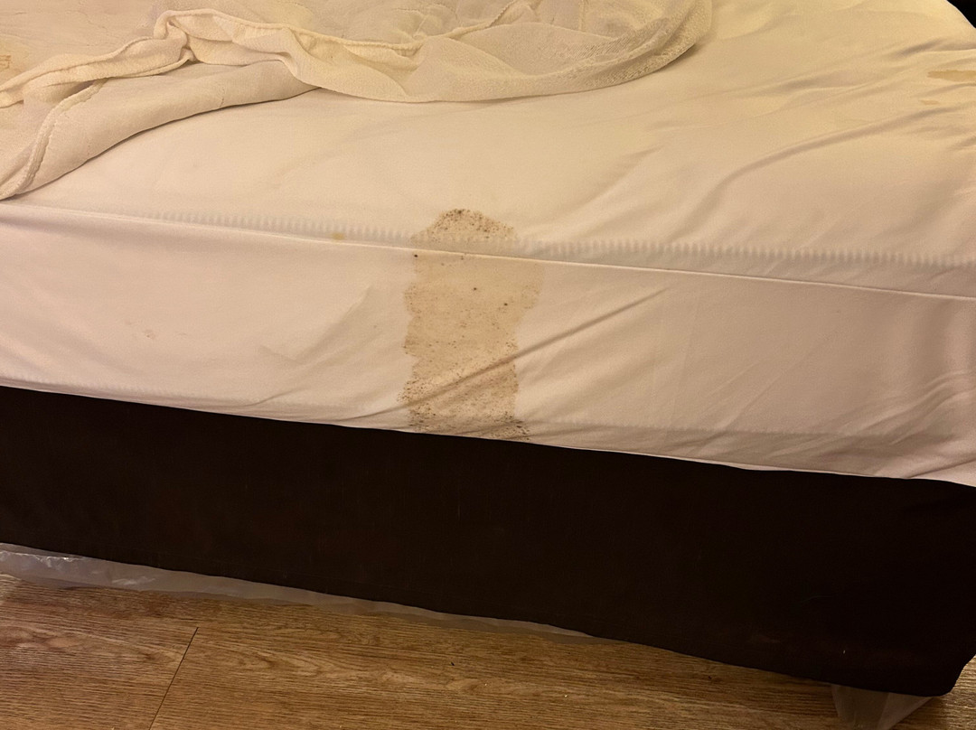 Red Roof Inn Tifton主图