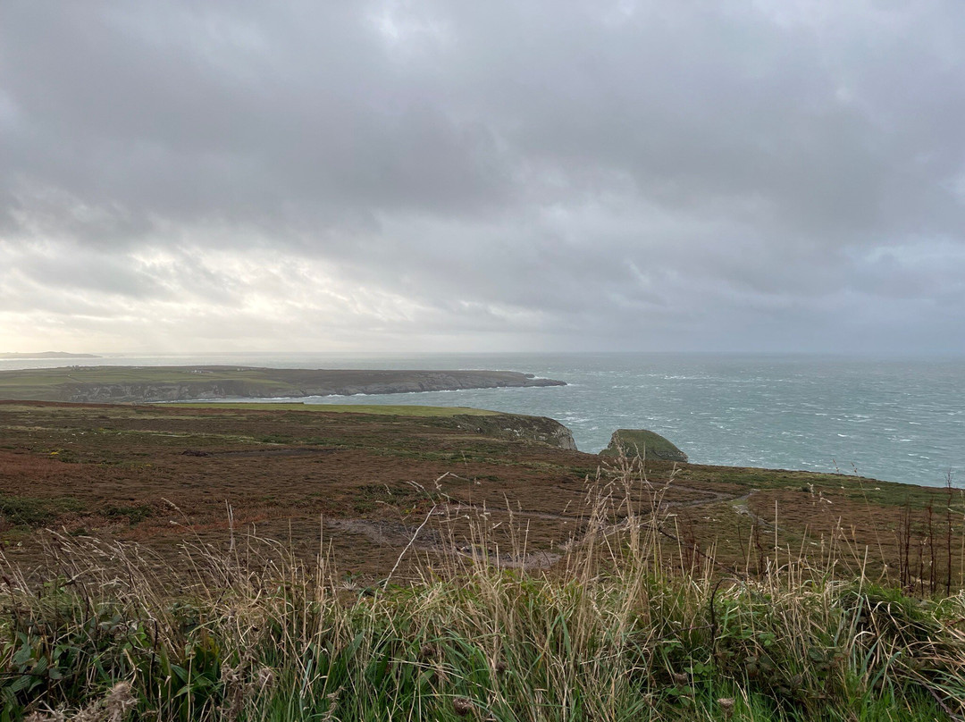 South Stack Cliffs RSPB Reserve-Holyhead必去景点