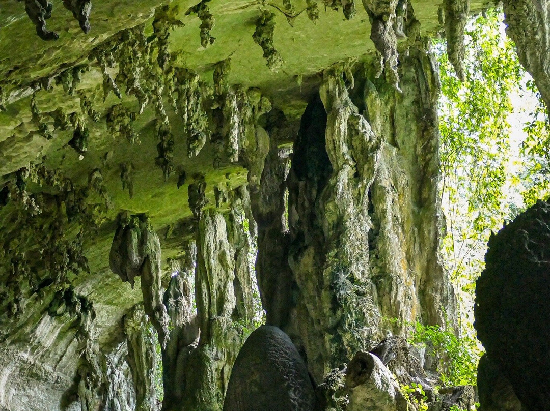 Niah National Park-美里必去景点