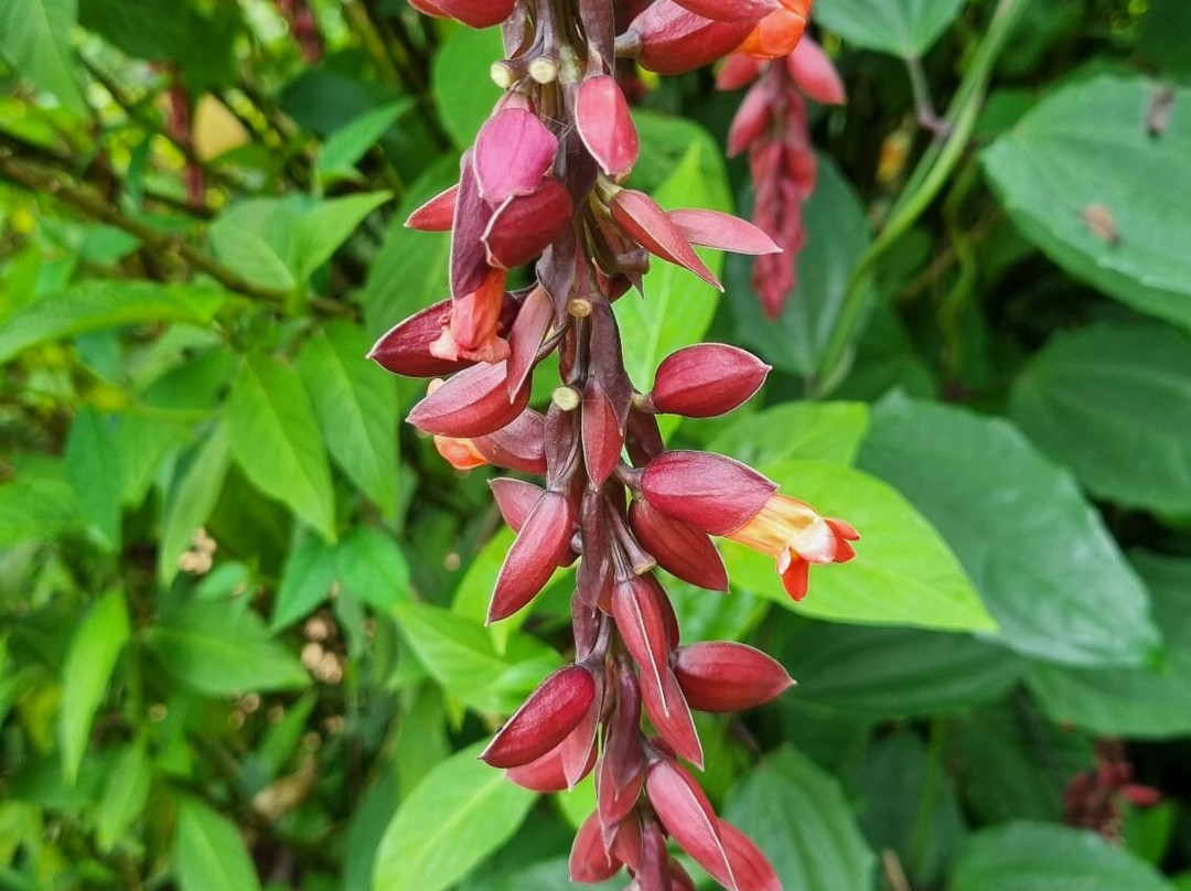 Wanders Munnar-慕那尔必去景点