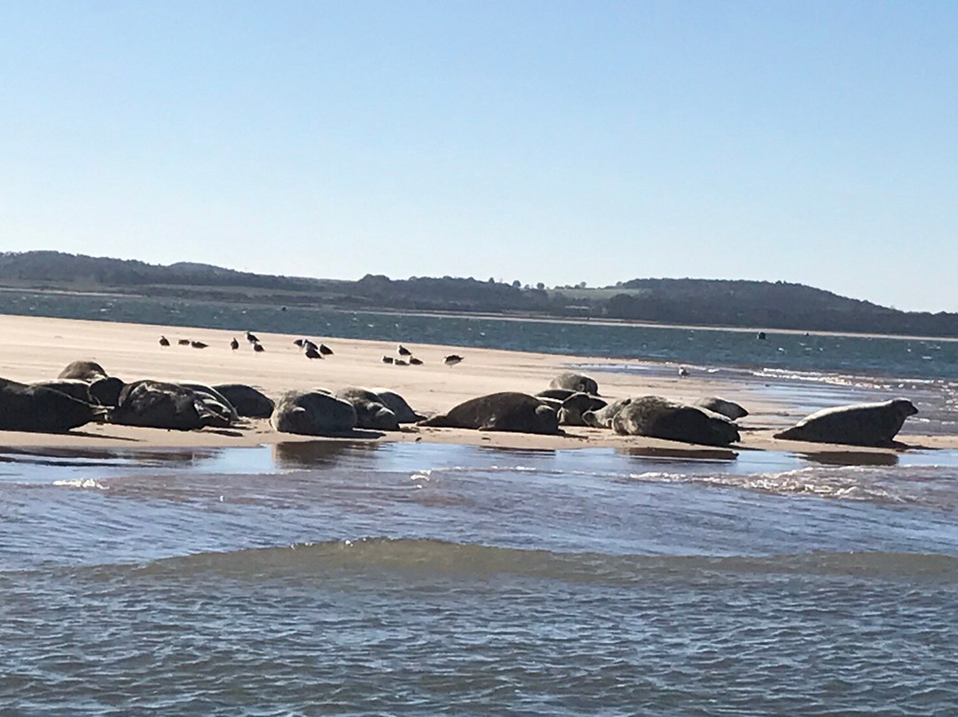 Temples Seal Trips & Blakeney Point-Morston必去景点