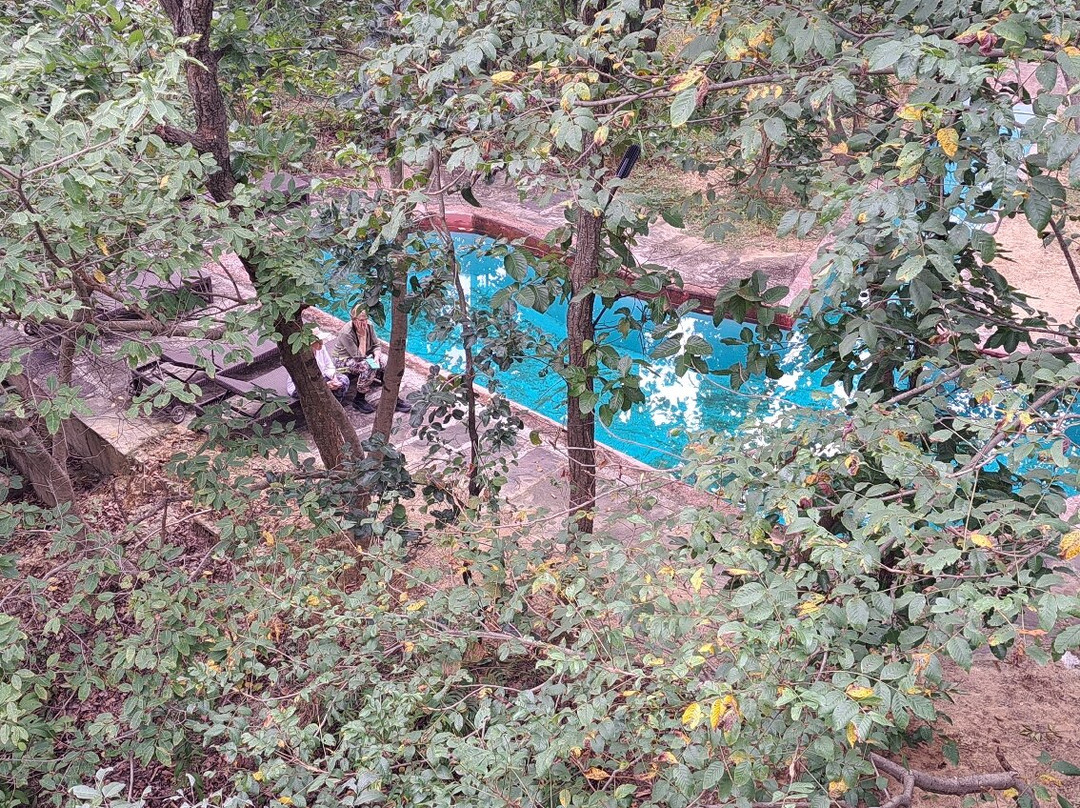 Umaria酒店住宿-Emerald Tiger Retreat