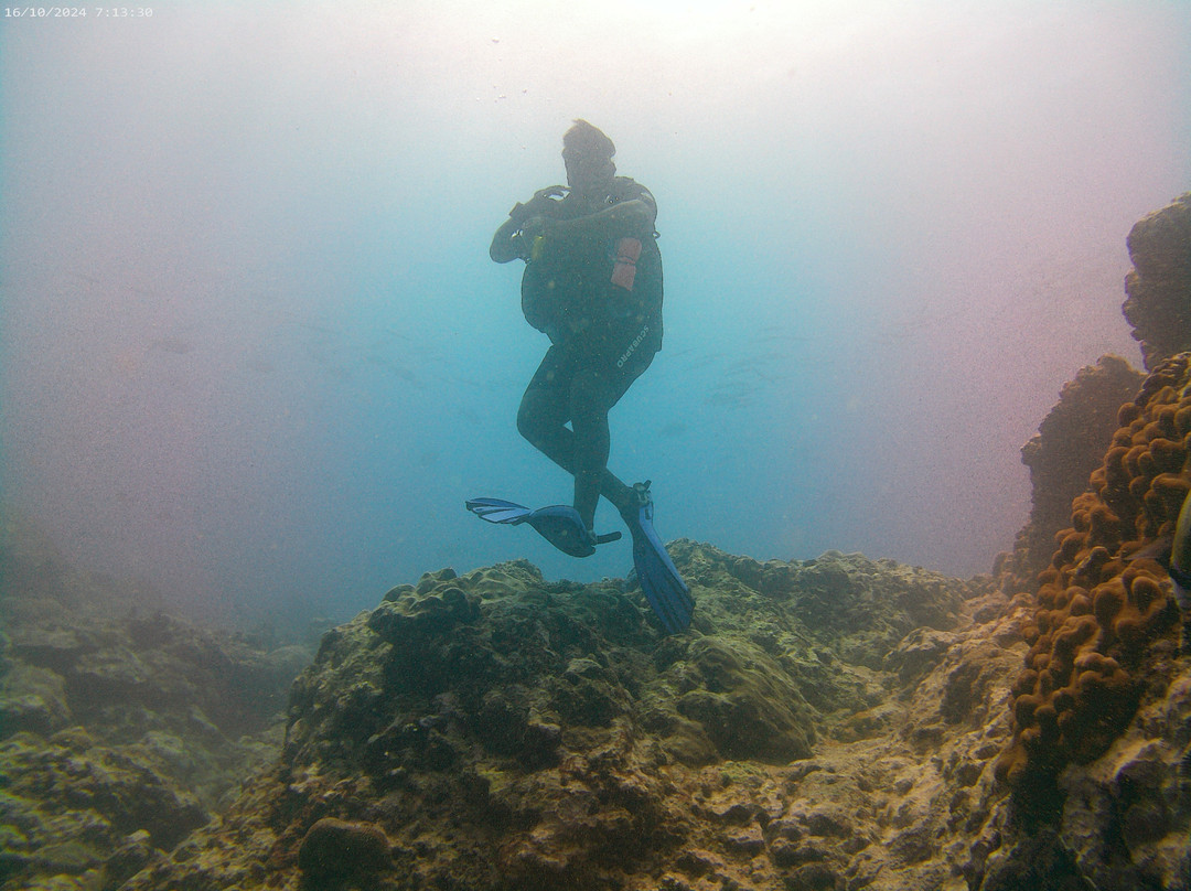 Dive Time景点图片