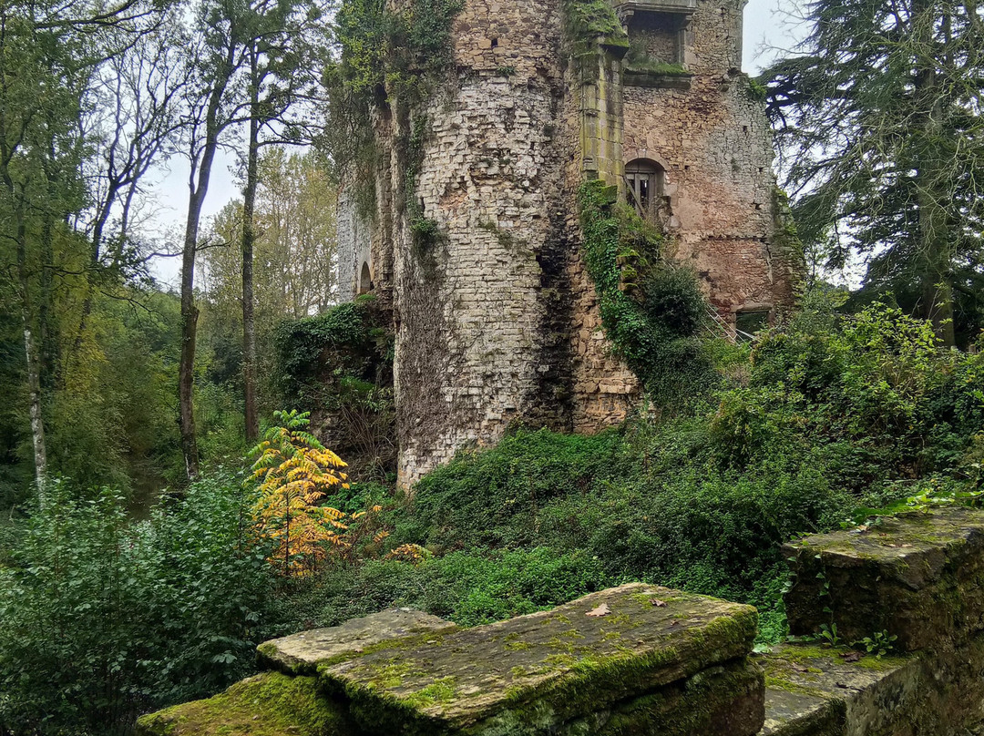 Château des Essarts景点图片