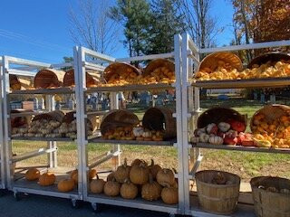 Chase Farms-韦尔斯必去景点