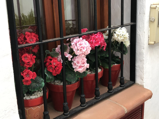 Competa Wellness Holistic Therapy-Competa必去景点