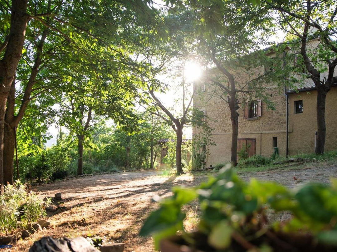 Casa Castora