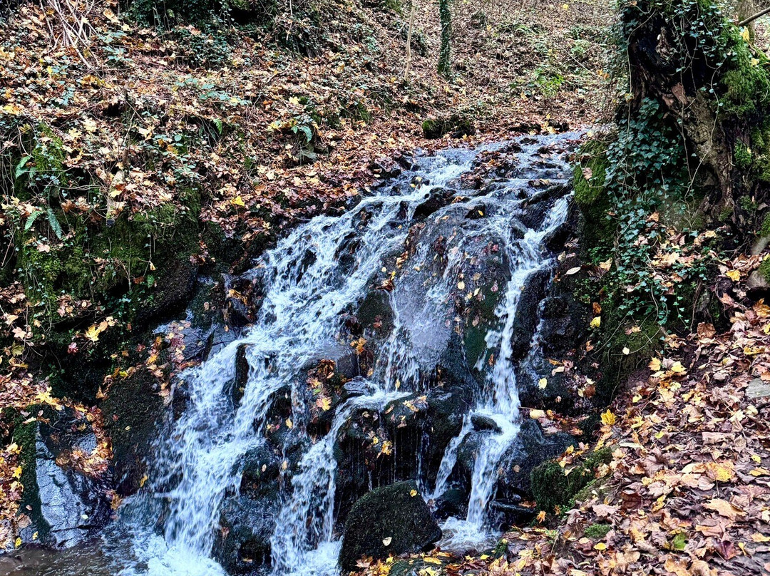 Elfengrotte-Bad Bertrich必去景点