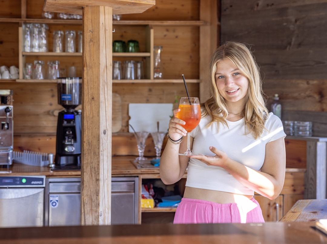 Lake Resort Pressegger See主图