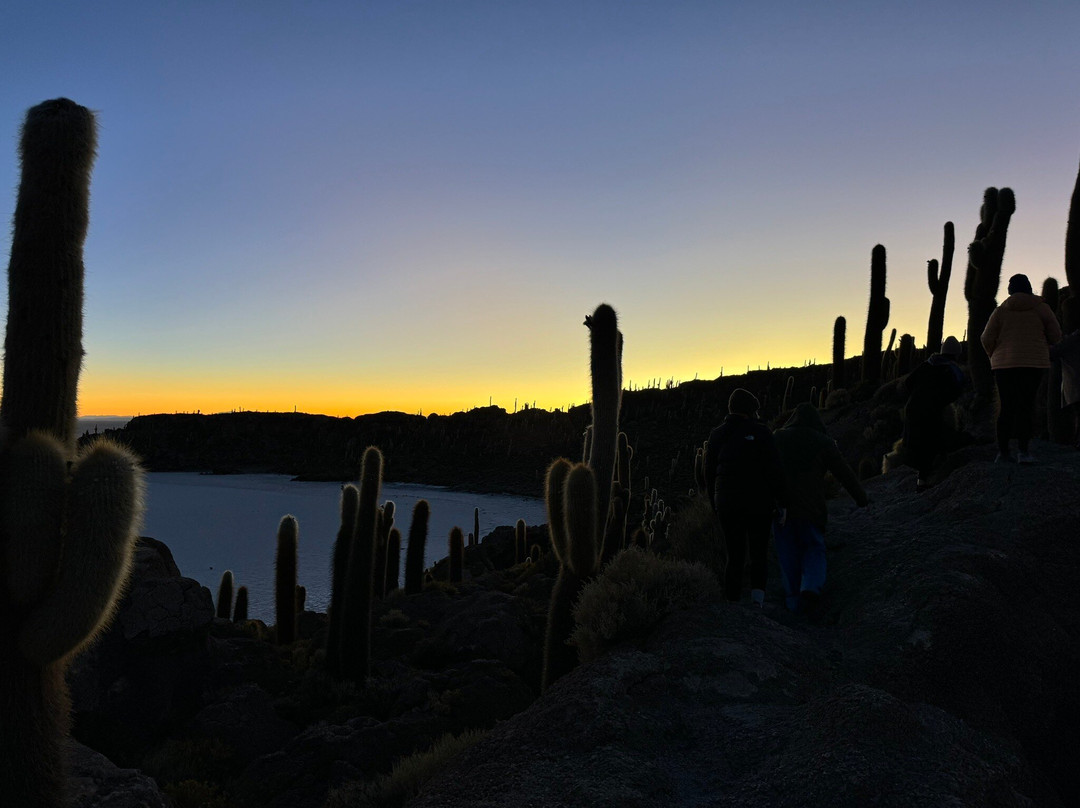 Isla Incahuasi-乌尤尼必去景点