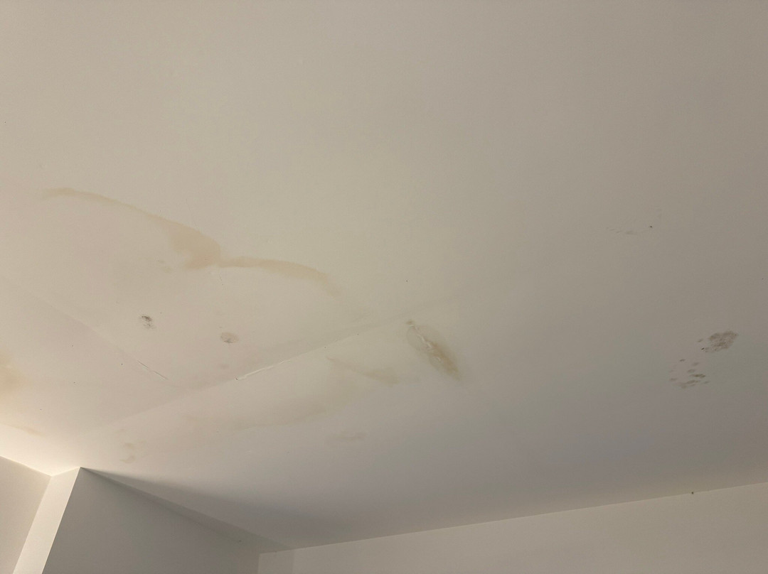 Estella Rooms - Autocheckin主图