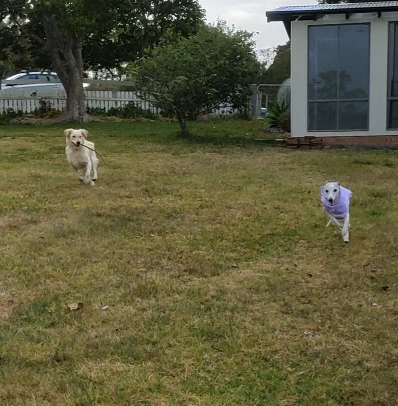 Bryn Glas Farm Stay主图