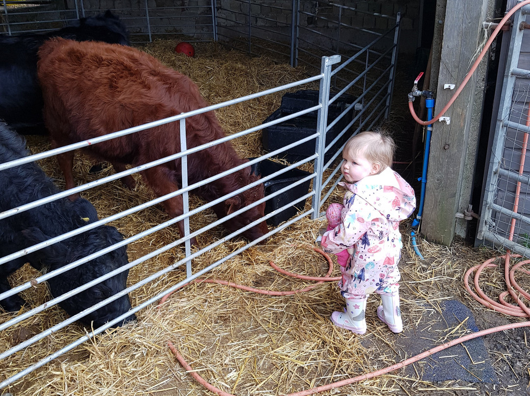 Frampton Farm景点图片