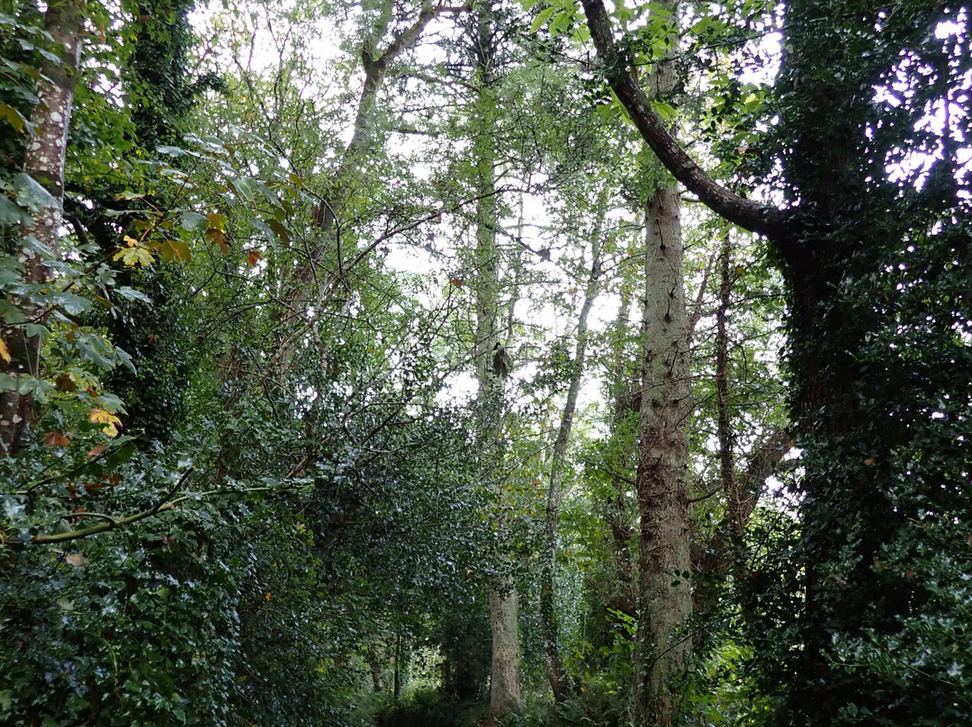 Sentier De Plomarc'h景点图片