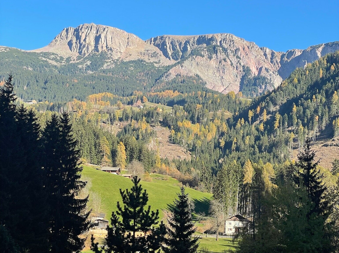 Hotel Bad Schörgau主图