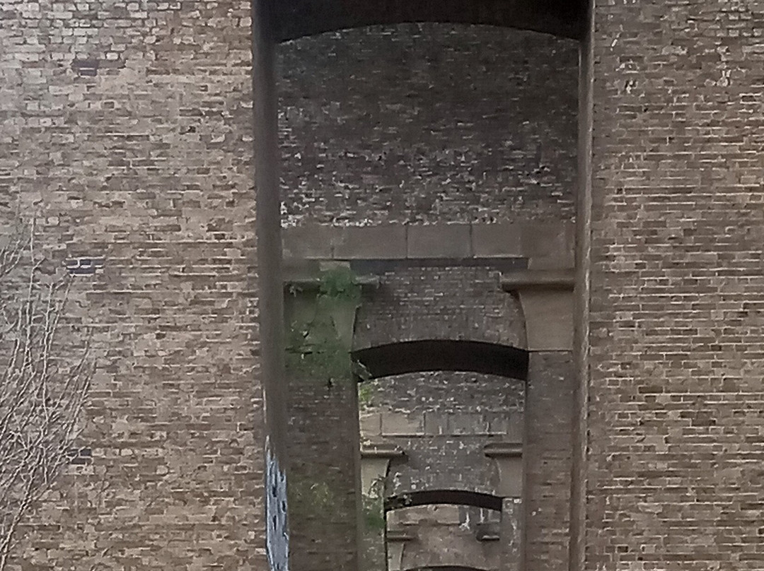 Brent Lodge Park And Churchfields景点图片