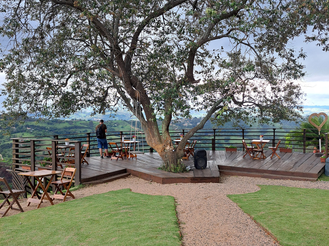 Vinícola Terrassos-Amparo必去景点