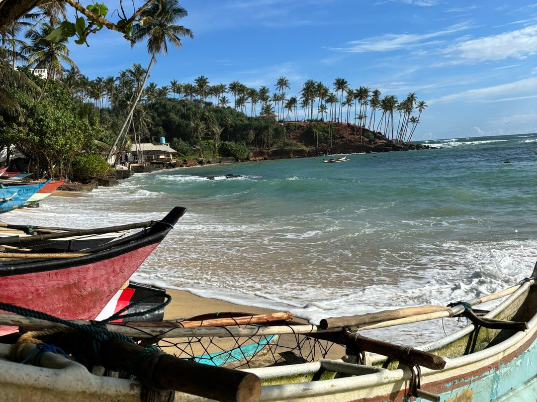 Turtle Point-美蕊沙必去景点