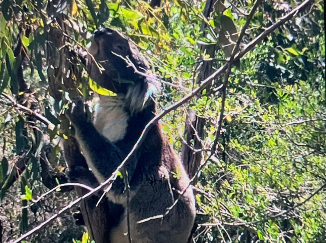 珍妮丝塔住宿加早餐酒店主图