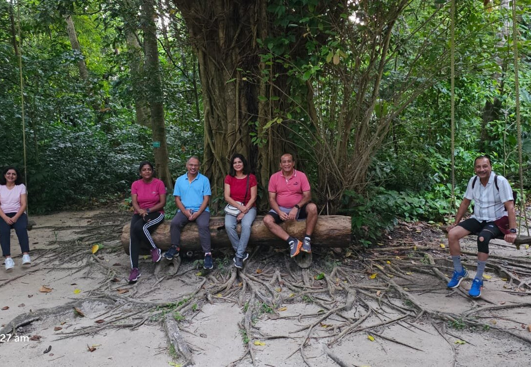 哈夫洛克赤脚酒店主图