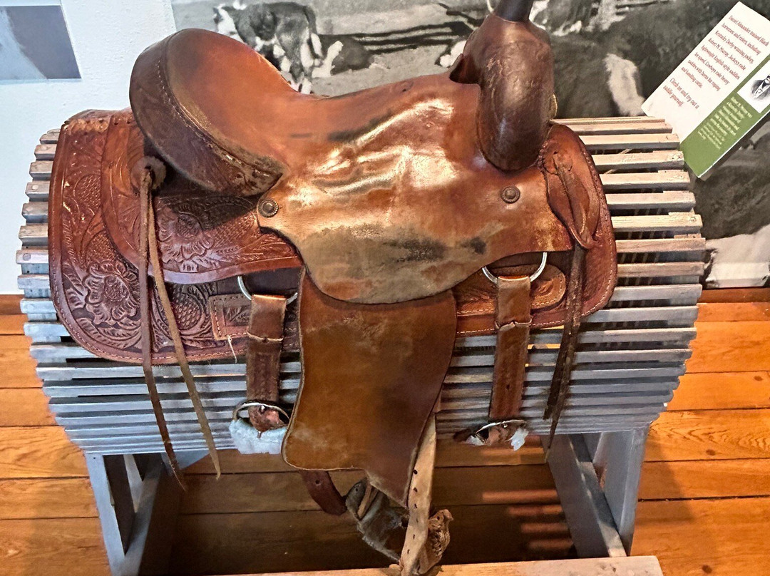 威特博物馆-圣安东尼奥市必去景点