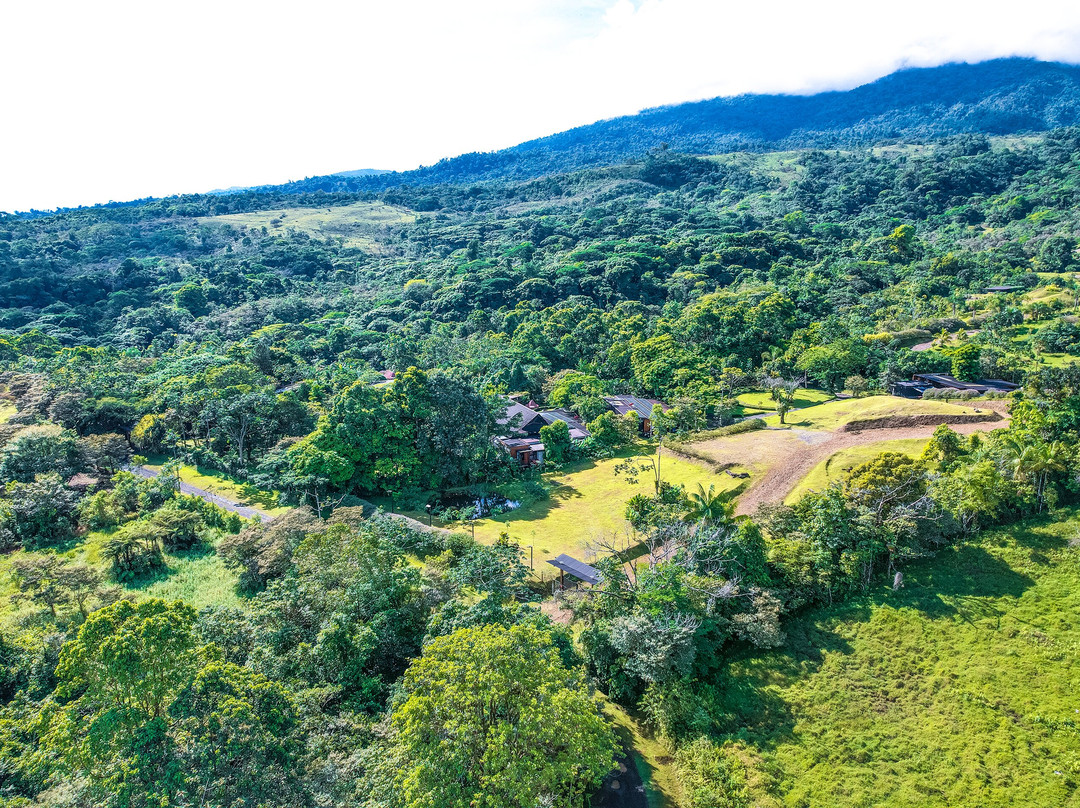 Ecolirios Boutique Hotel and Spa主图