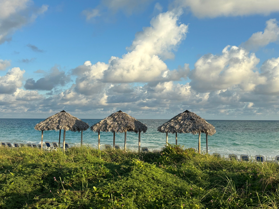 Melia Costa Rey主图