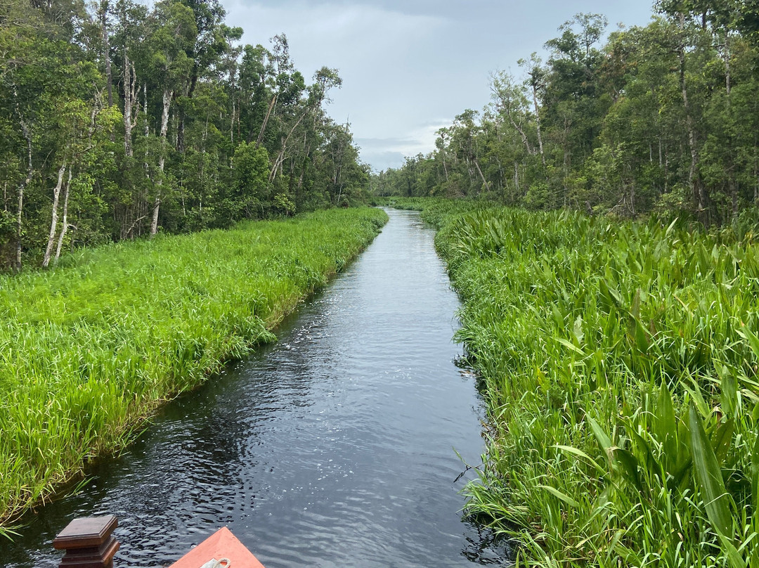 Yobel Alam Tours Orangutan Tanjung Puting-Pangkalan Bun必去景点