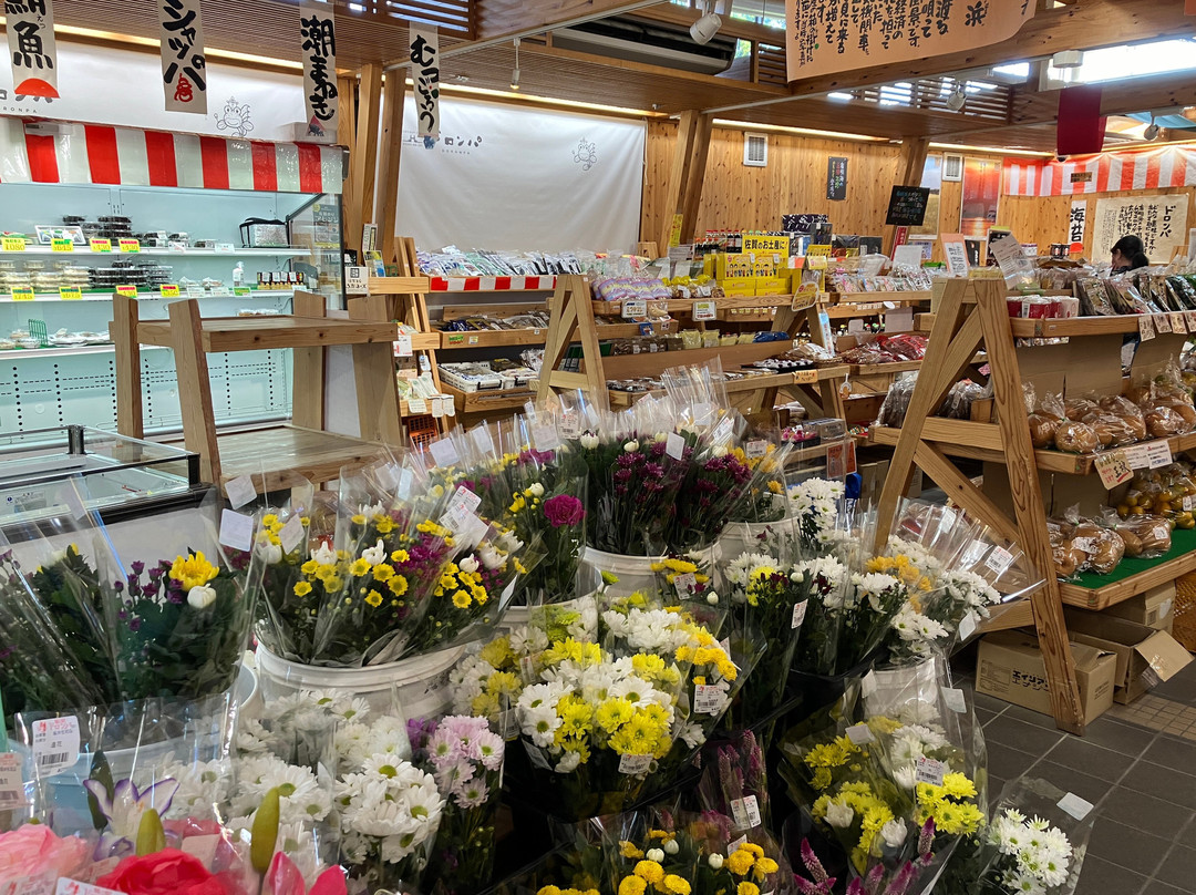 Hashinoeki Doronpa-佐贺市必去景点