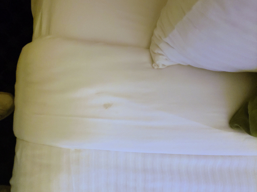 Oregon Garden Resort主图