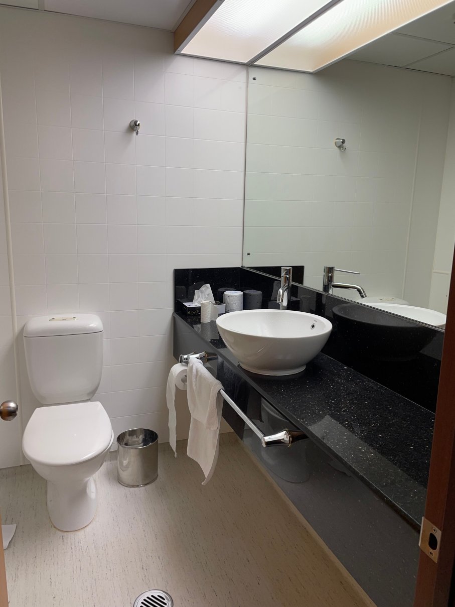 迪斯汀克斯卢克斯莫尔酒店-蒂阿诺-浴室