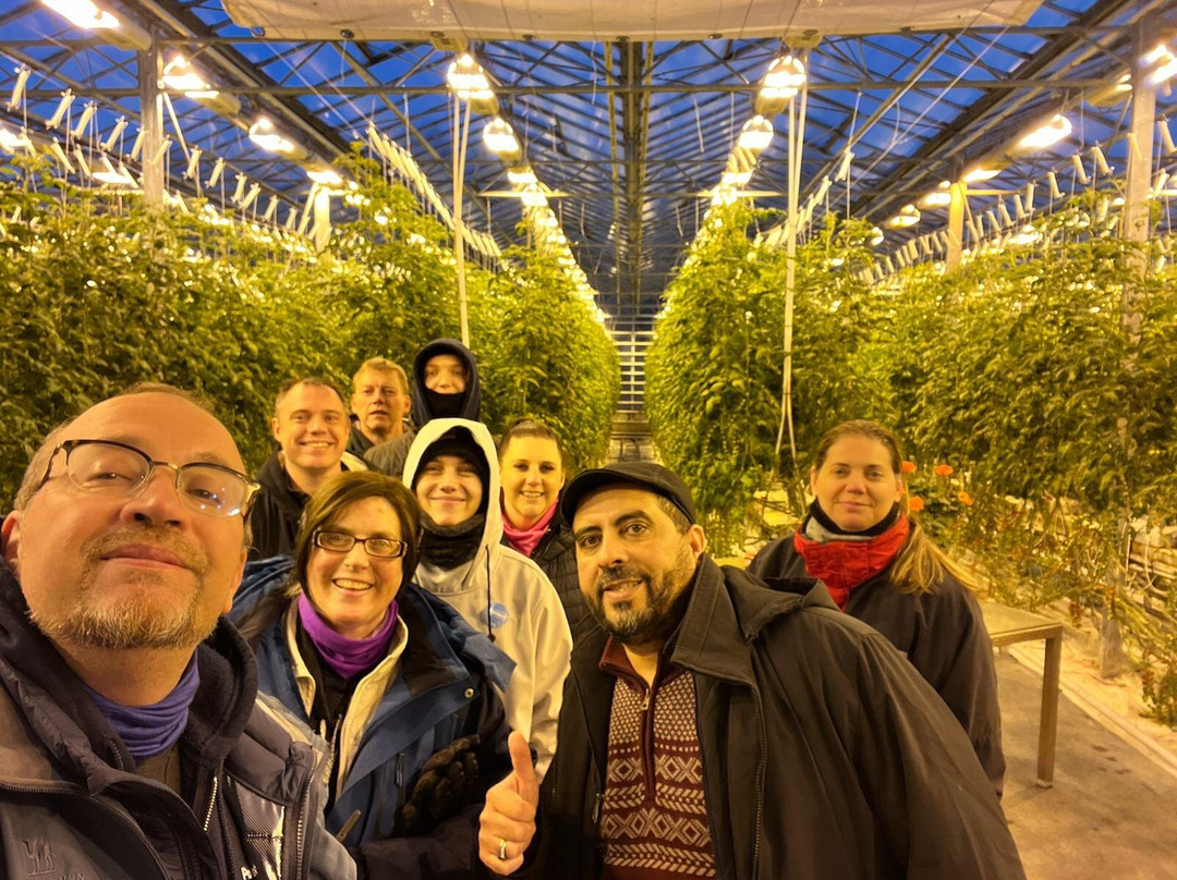 Iceland Paradise Tours-雷克雅未克必去景点