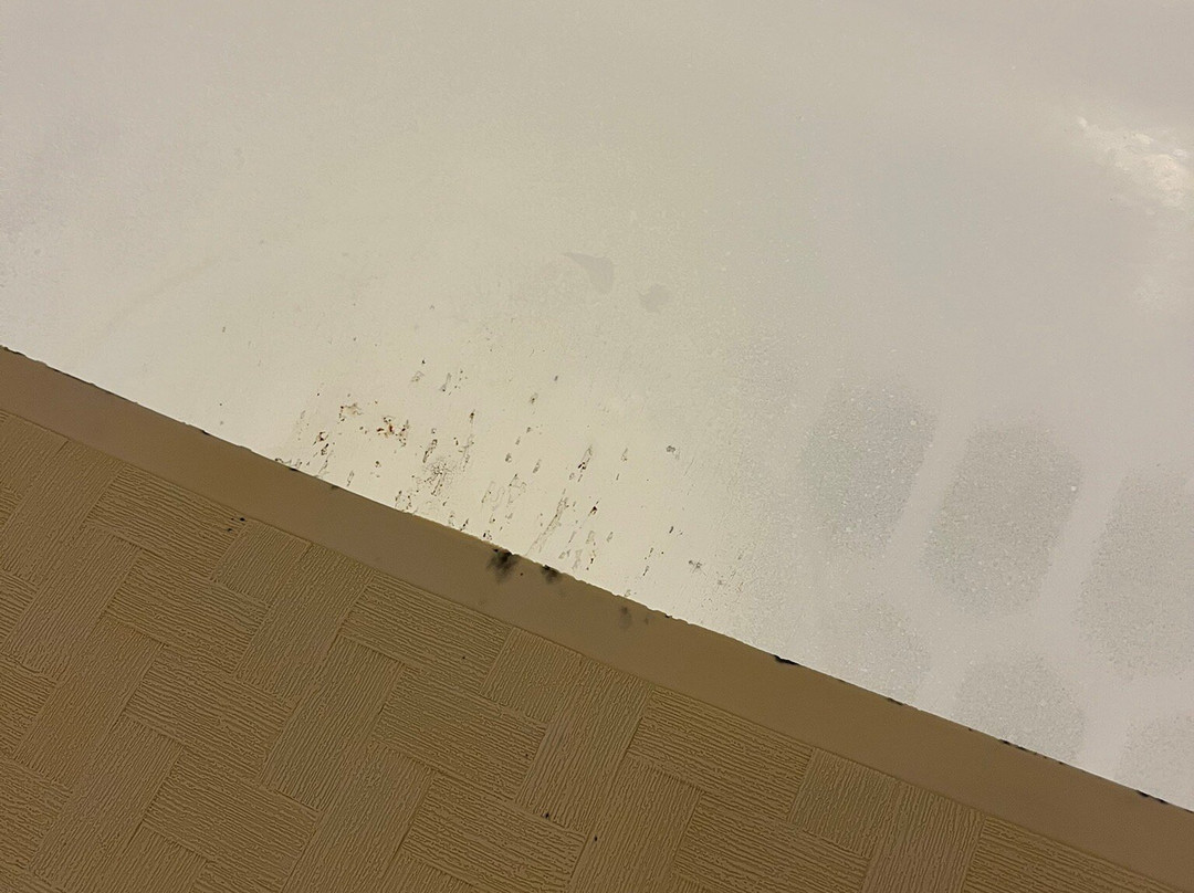 Holiday Inn Express & Suites Quincy I-10 by IHG主图