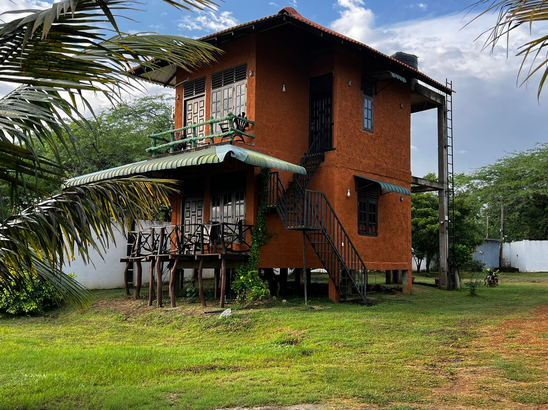 Bundala Flamingo Cottages主图