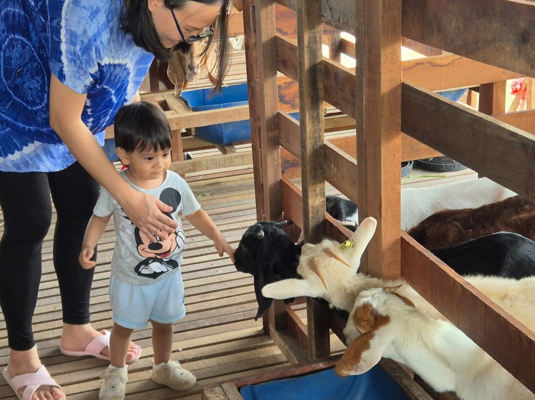 Gentle Farms 温柔农场