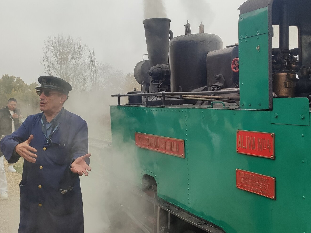 Tren de Arganda del Centro de Iniciativas Ferroviarias Vapor Madrid景点图片
