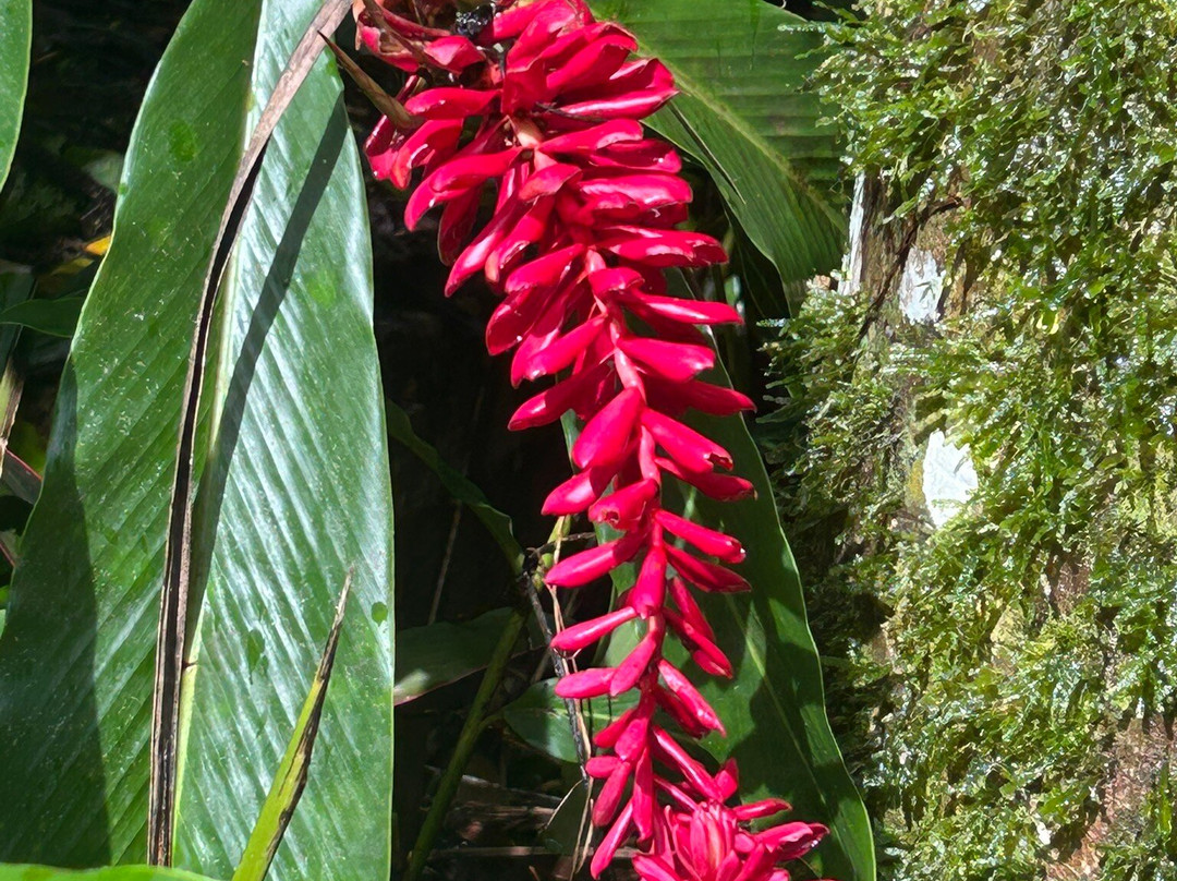 Tainopark-Santa Barbara de Samana必去景点