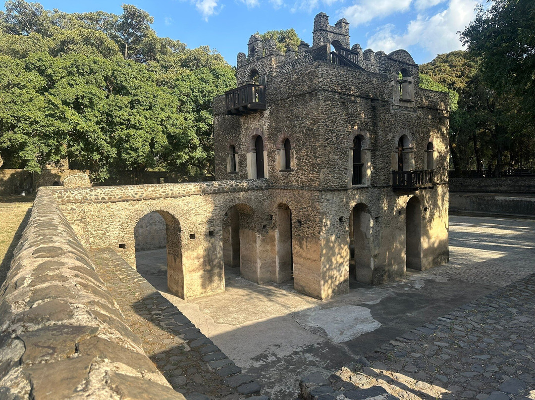 Ethio Wonder Tours景点图片