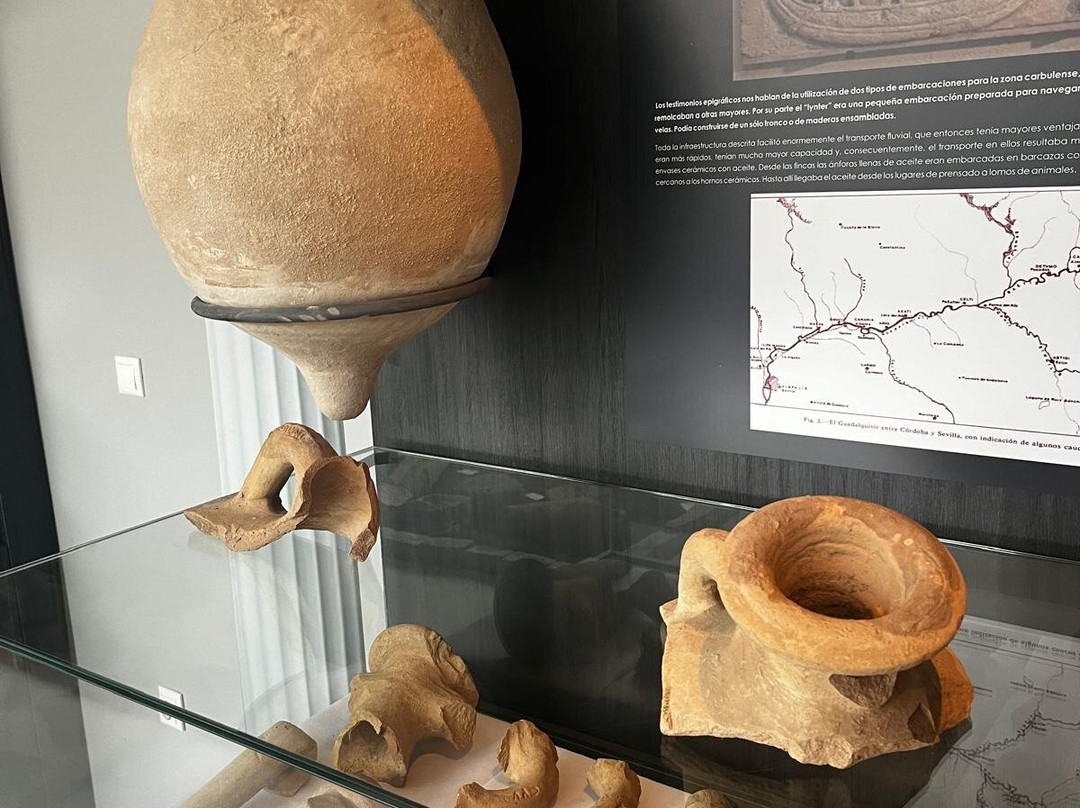 Exposición Arqueológica Municipal景点图片