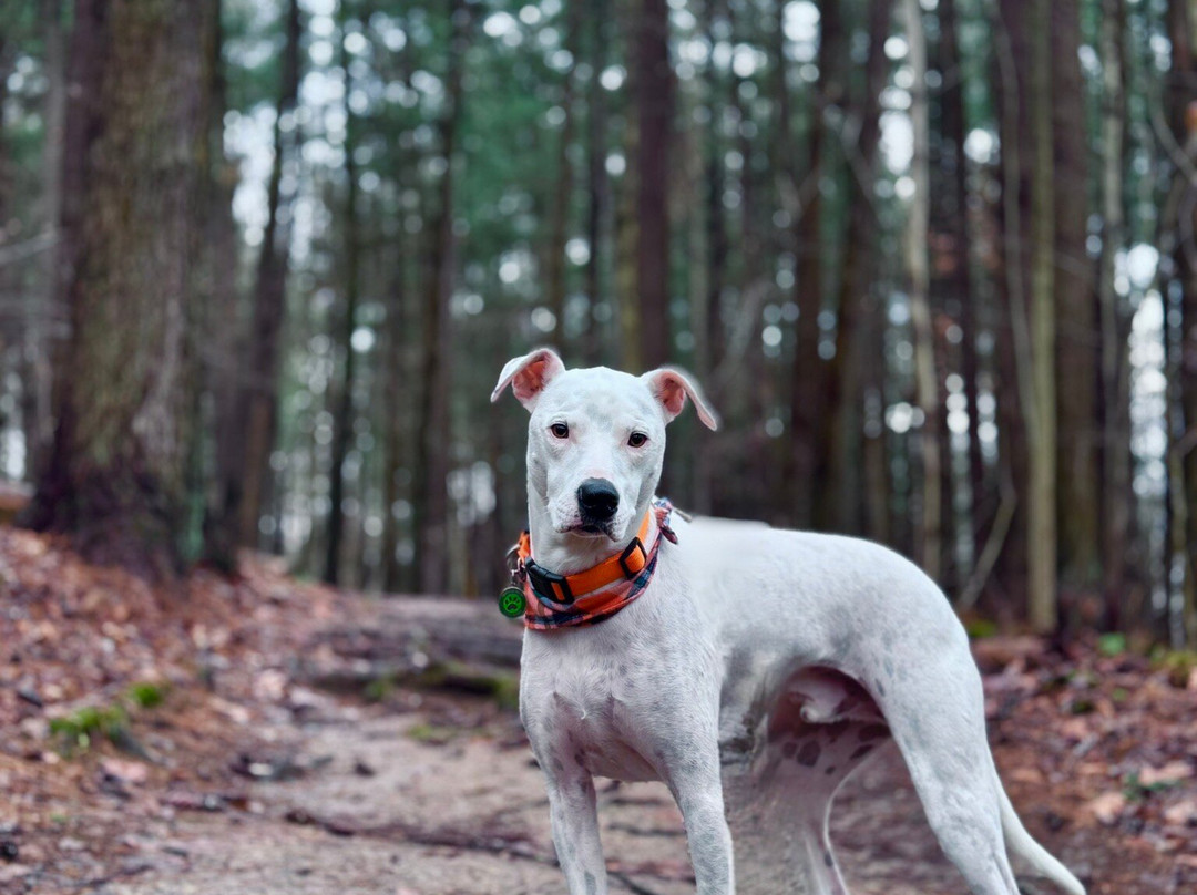 Salt Run Trail-Peninsula必去景点