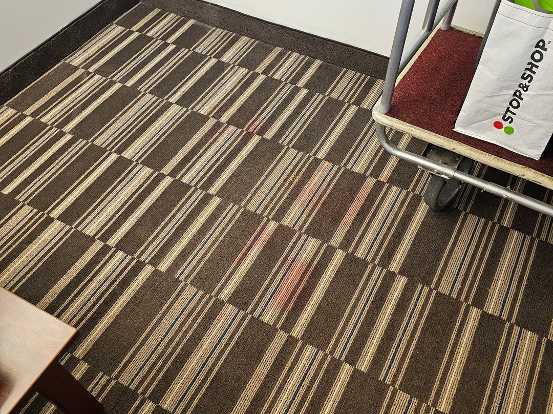 Microtel Inn & Suites by Wyndham Hamburg主图